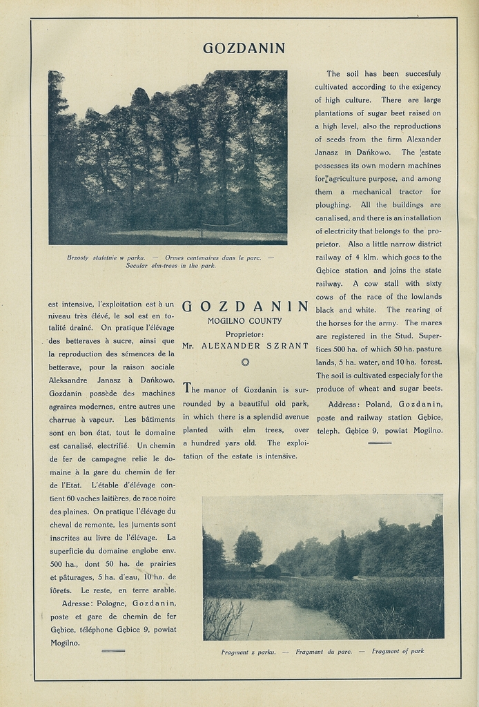 060 gozdanin.jpg